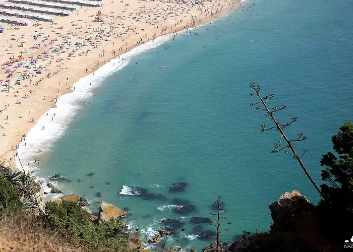 T4 Luis Apartment Nazaré